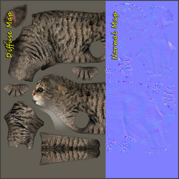 Cat_Texture