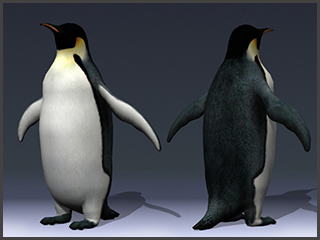 penguin